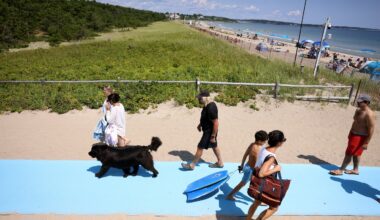 Scarborough Beach using drones, jet ski, to watch for sharks after close call