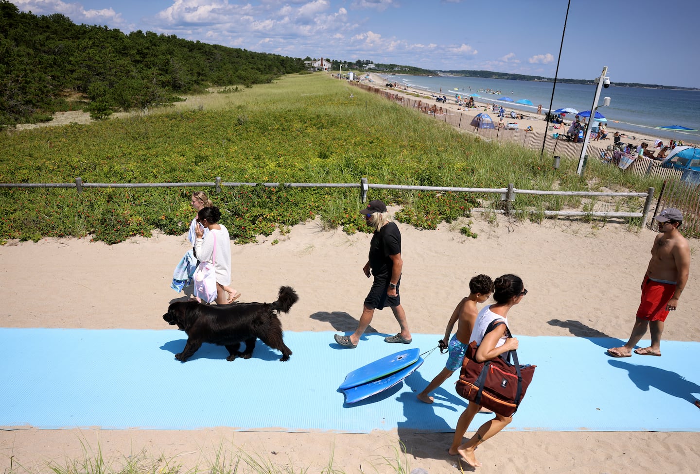 Scarborough Beach using drones, jet ski, to watch for sharks after close call