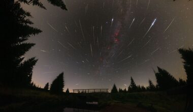 APOD: 2026 August 18 - Perseids From Perseus