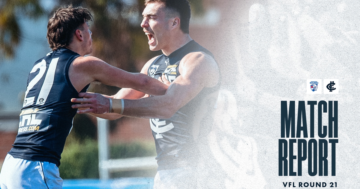 VFL match report: Blues book wildcard spot with strong win