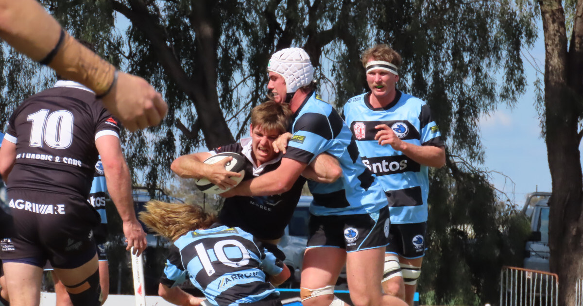 Bulls fall short in Major Finals as rugby returns to Moree for preliminary finals