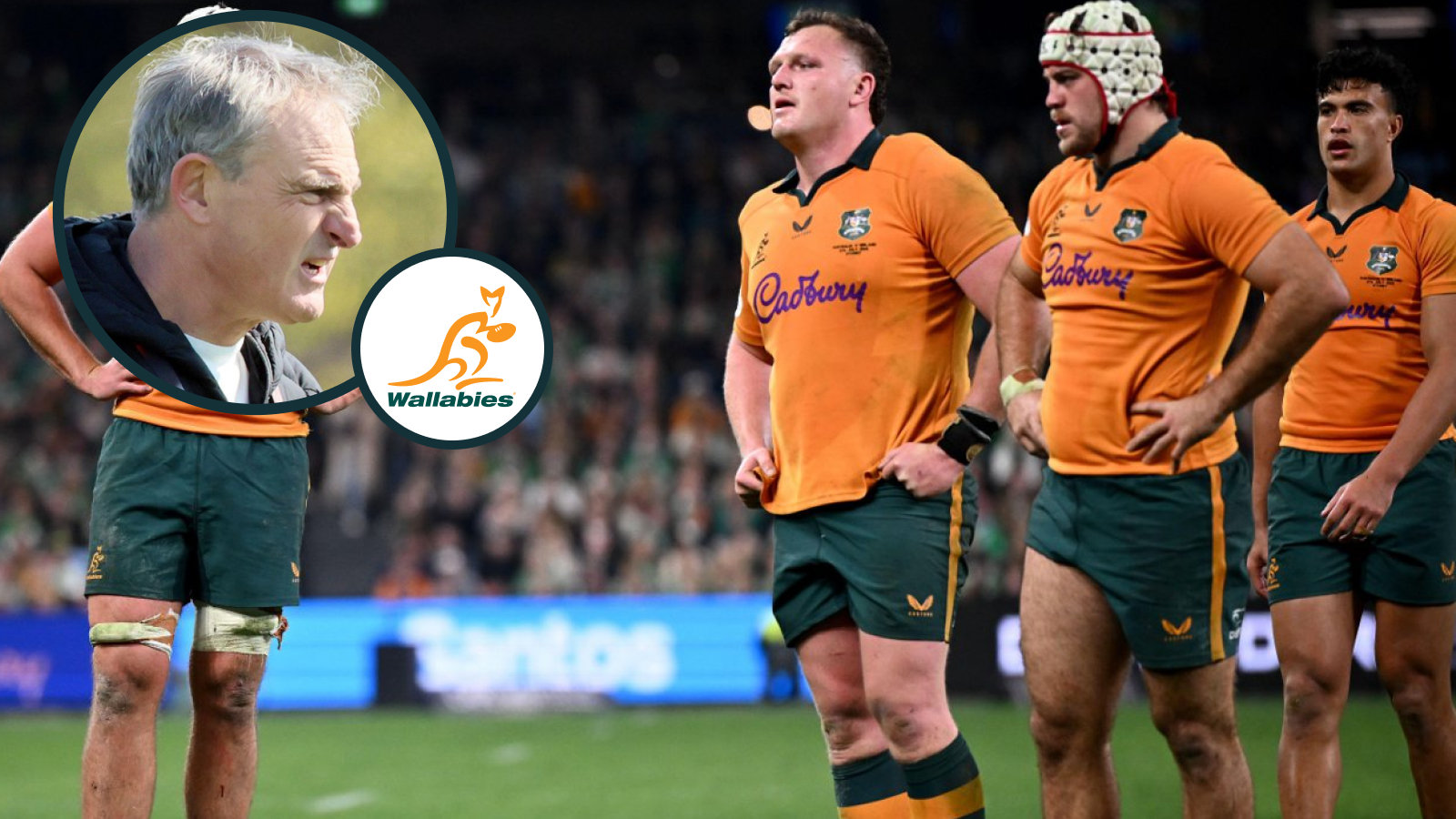 Scott McLeod highlights areas of focus as he aims to improve Wallabies' defence