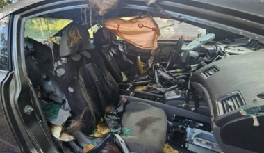 Warning to drivers after black bear found dead inside US car - The Independent