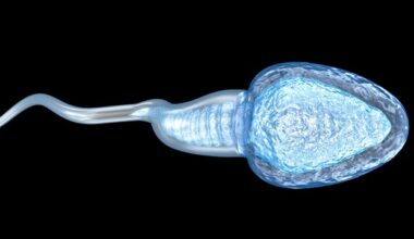 Lifestyle factors aggravate genetic causes of male infertility, study finds