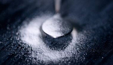 Sugar, Not Just Meat, Fueled Growth of Human Brain, New Study Argues