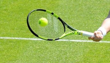 Tennis: India’s Ramkumar Ramanathan and Vijay Sundar Prashanth win Bonn Open doubles title – The Indian Awaaz