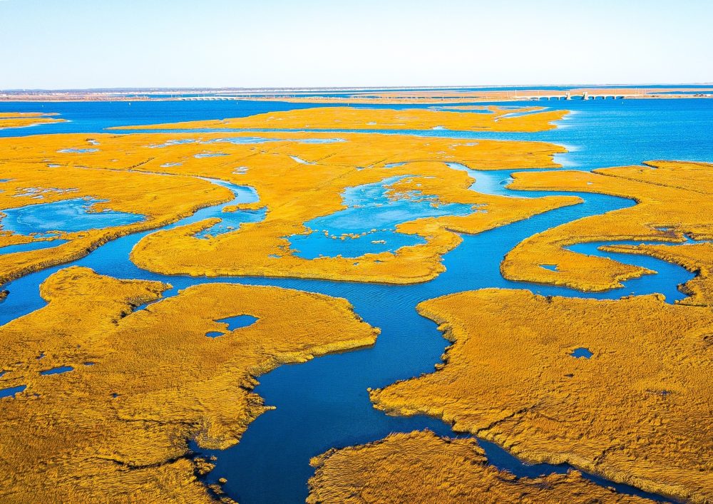Most U.S. coastal wetlands are slowly disappearing underwater