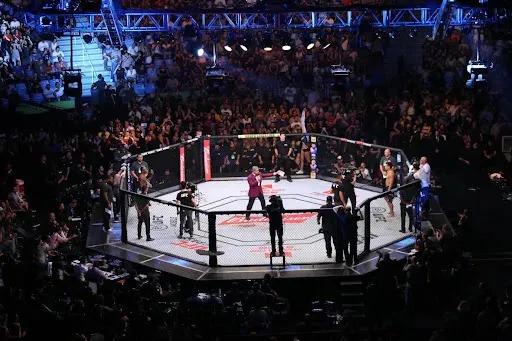 MMA Cage