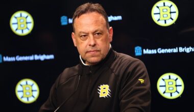 Marco Sturm's Bruins finished with 100 points last season and earned a wild-card playoff spot.