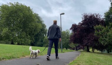I walked for 15 minutes after every meal for a month – the effects were immediate