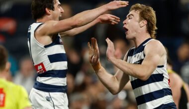 Stats Wrap | The Cats That Closed Out the Regular Season Strongly