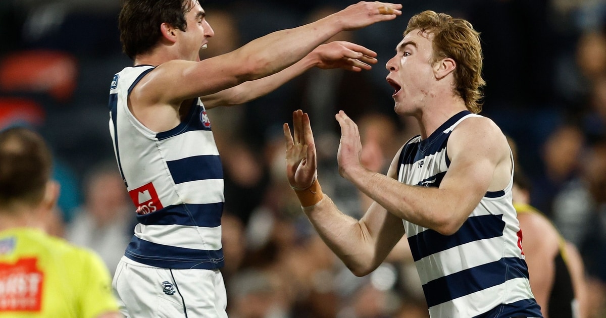 Stats Wrap | The Cats That Closed Out the Regular Season Strongly