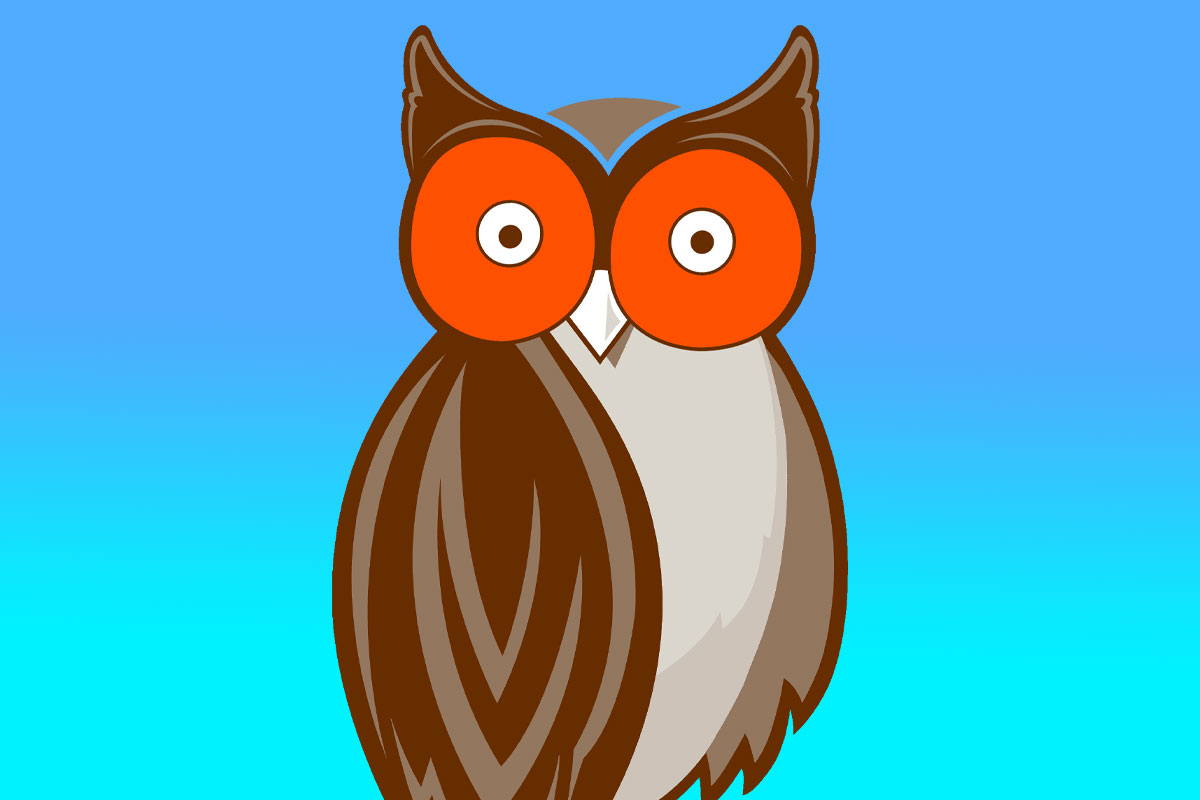 a-hooters-origin-film-in-the-works