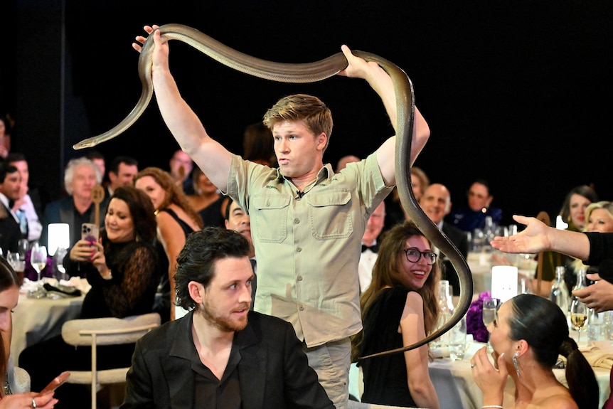 Steve Irwin, in an Australia Zoo uniform, holds a massive python.