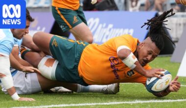 Wallabies vs Argentina live: Australia face Los Pumas in first rugby Test