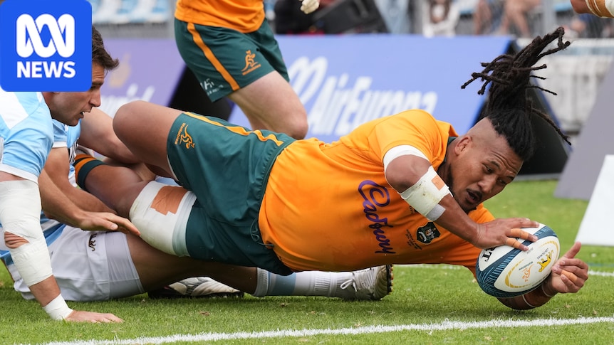 Wallabies vs Argentina live: Australia face Los Pumas in first rugby Test