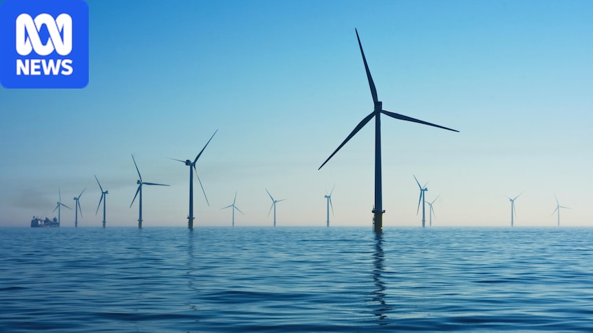 Australia's first offshore wind auction has been called. What does it all mean?