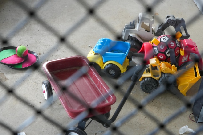 Two frisbees and a ball, three toy trucks, a red wagon and a soccer ball with paw prints behind a screen door.