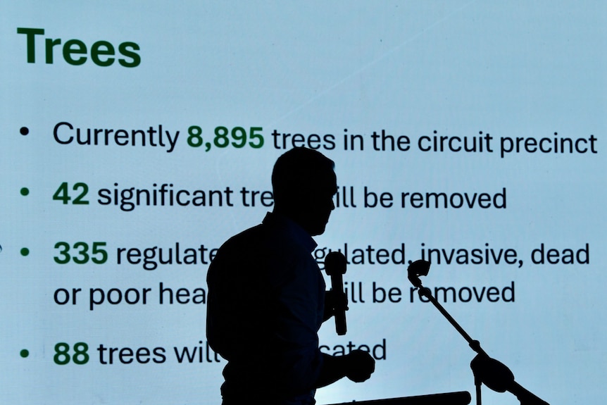 The shadow of premier Peter Malinauskas against a presentation about the MotoGP circuit and the effects on the parkland's trees