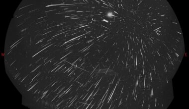 APOD: 2026 August 22 - Mostly Perseids