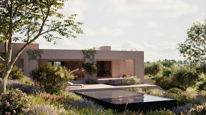 domestic archipelago of nine houses unfolds across portugal’s cork-oak landscape - 3