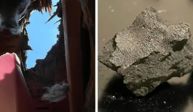 Meteorite that smashed through a New Jersey roof reveals clues to life’s origins