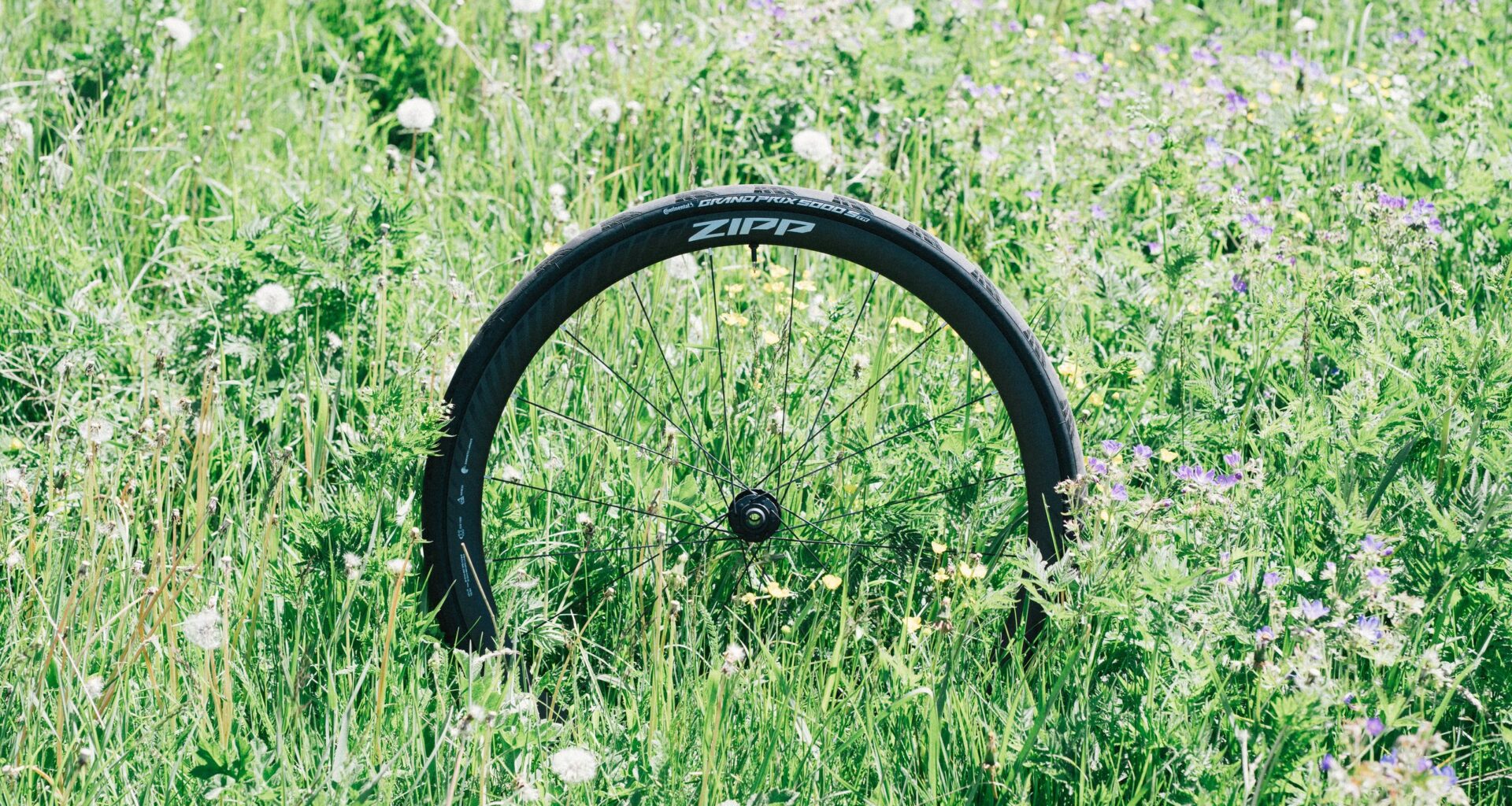 A zipp wheel in an alpine meadow