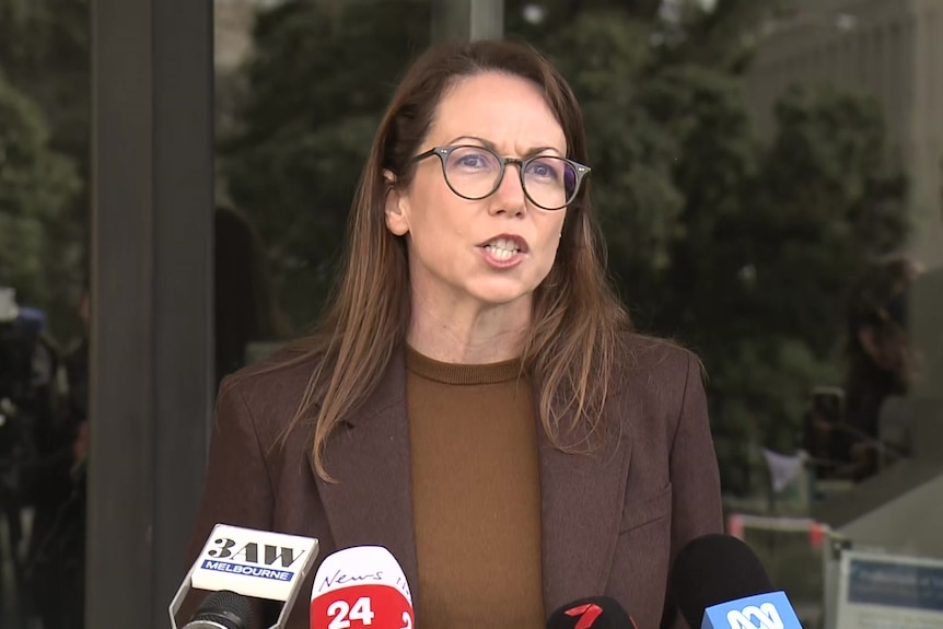 A brown-haired woman giving a press conference in front of parliament