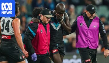 Jacob van Rooyen faces wait for AFL match review officer after hit on Aliir Aliir