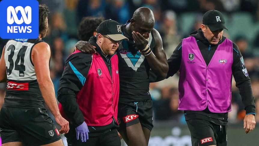 Jacob van Rooyen faces wait for AFL match review officer after hit on Aliir Aliir