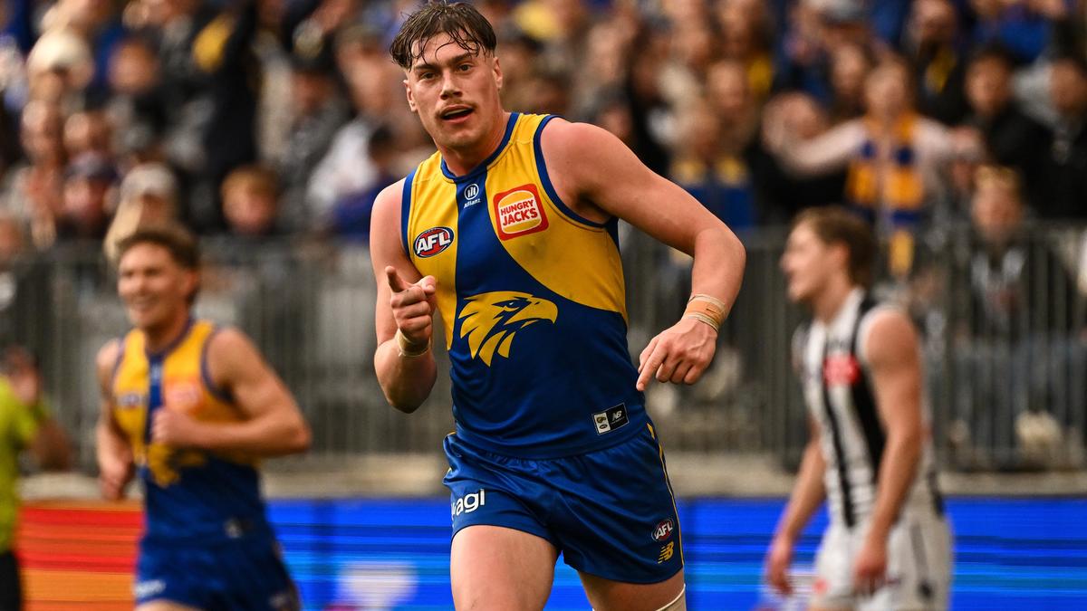 Banged-up Harley Reid cleared of injury after Collingwood heroics in West Coast Eagles defeat