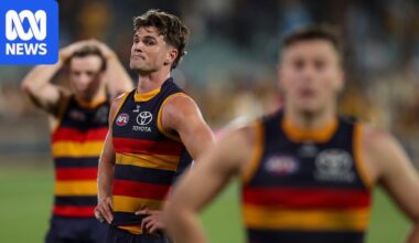 Adelaide Crows walk wildcard tightrope even if they beat GWS