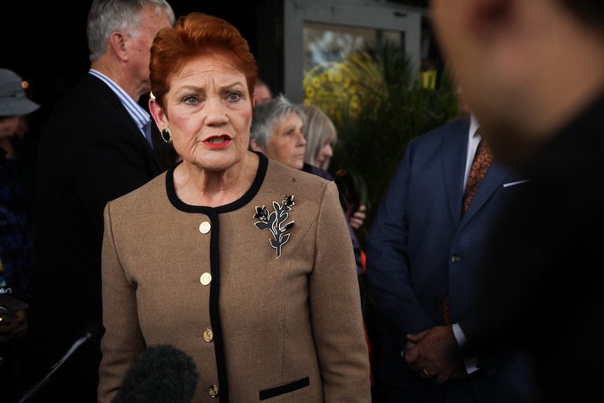 Pauline Hanson speaks to reporters among a crowd, wearing a brown and black jacket.