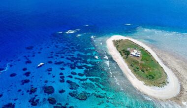 H5 bird flu: Coral Sea islands get $1m seabird habitat rescue