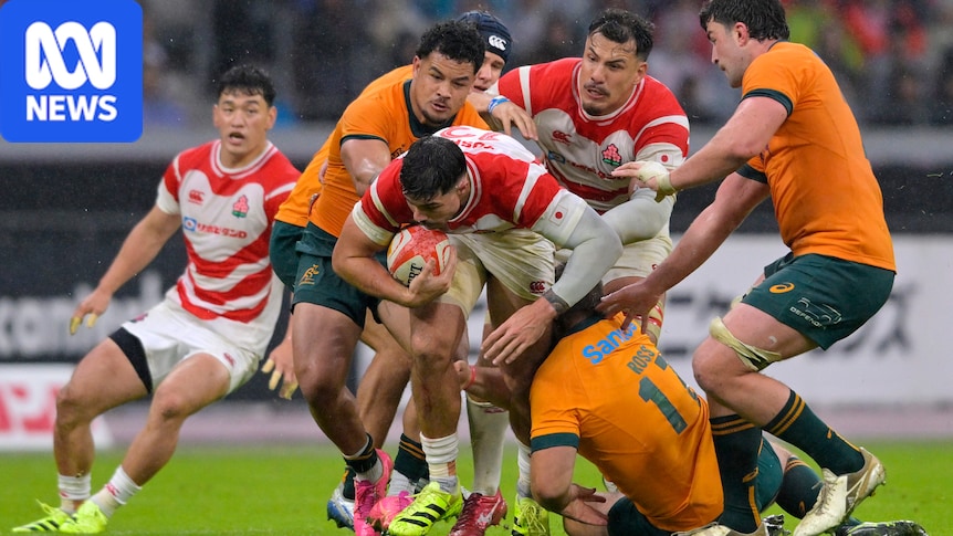 Wallabies to battle heat and typhoon in Japanese Test