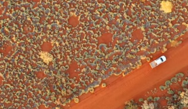 Geological hydrogen: The untapped clean energy hidden beneath Australia’s ‘fairy circles’
