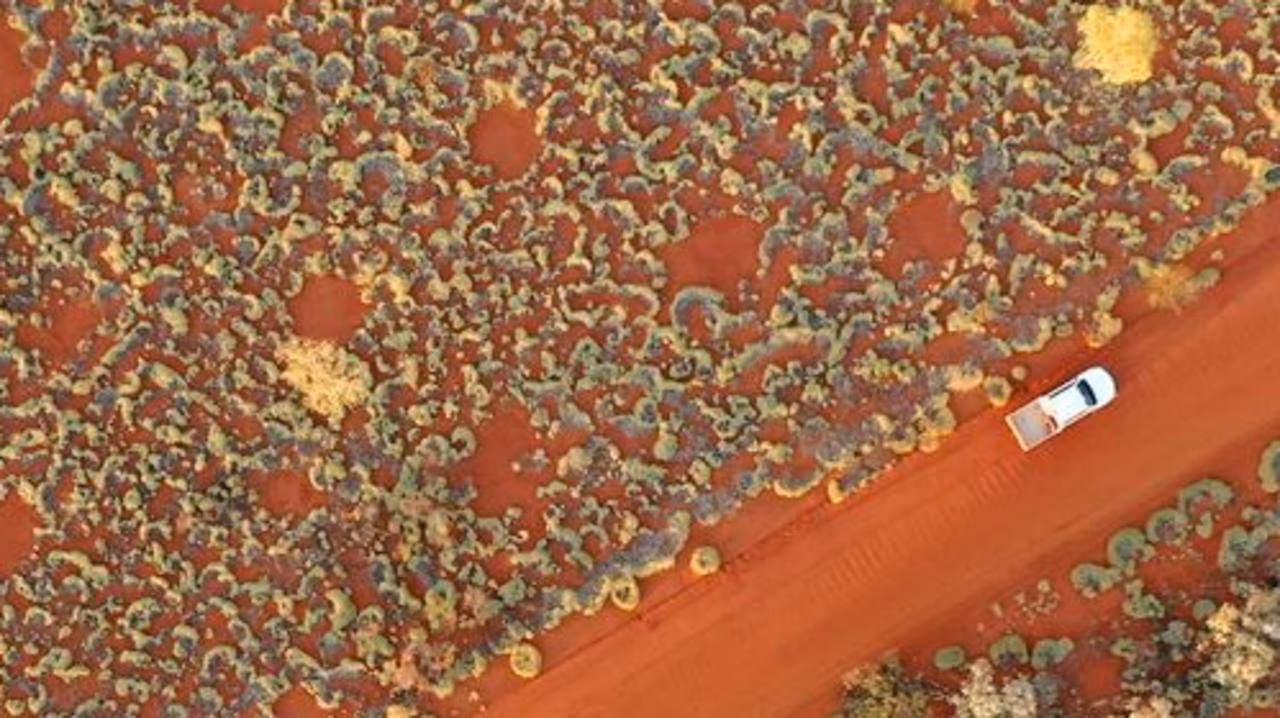 Geological hydrogen: The untapped clean energy hidden beneath Australia’s ‘fairy circles’