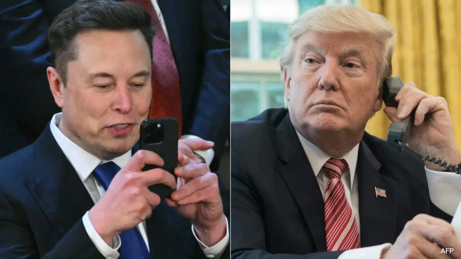 President Donald Trump Invested Up To 50,000 dollars In Elon Musk's SpaceX Shares: Report