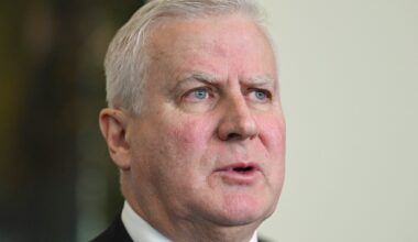 Shadow Veterans' Affairs Minister Michael McCormack has called on Prime Minister Anthony Albanese to appoint a new Veterans' Affairs Minister who will "defend veterans who so desperately need someone in their corner"