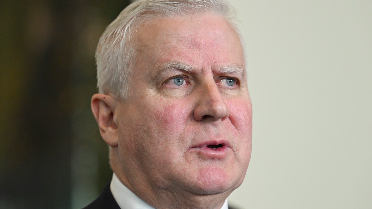 Shadow Veterans' Affairs Minister Michael McCormack has called on Prime Minister Anthony Albanese to appoint a new Veterans' Affairs Minister who will "defend veterans who so desperately need someone in their corner"
