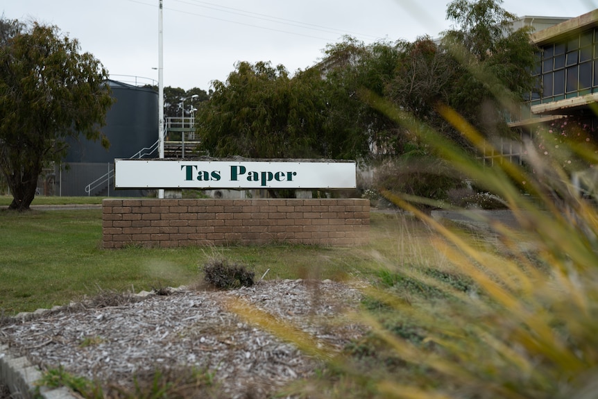 Sign reading "Tas Paper", outside old building and industrial site