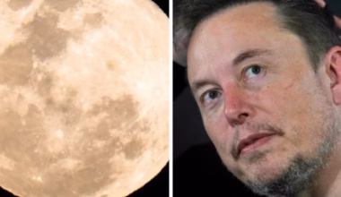 ‘Turn Elon Musk lemons into lemonade’: SpaceX moon crash highlights debris threat for Australia