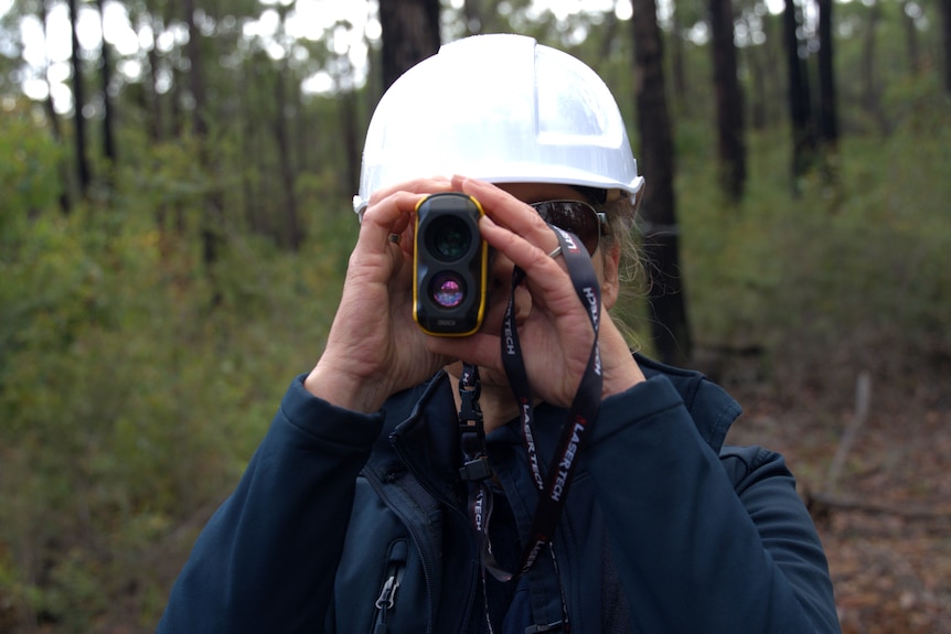 Tree monitoring