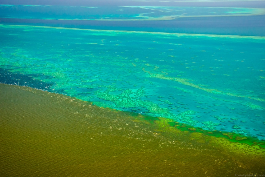 aerial image showing tainted water encroaching on pristine water on Great Barrier Reef