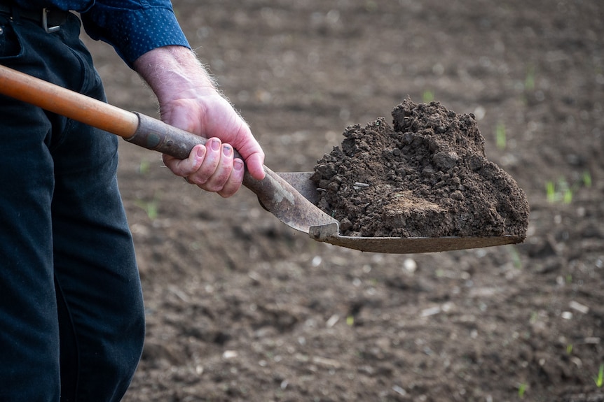 close up of shovel load of soil