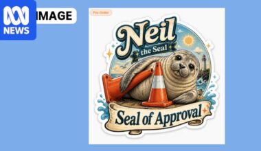 Neil the seal merchandise website taken down after questions about conservation donation claims