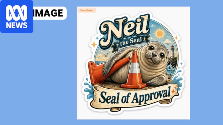 Neil the seal merchandise website taken down after questions about conservation donation claims