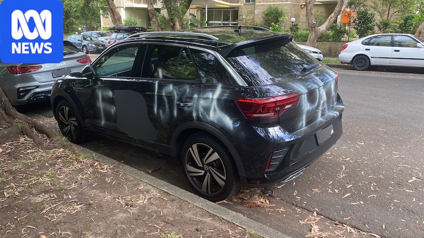 Man behind Sydney vandalism spree not 'antisemitic bigot', judge rules