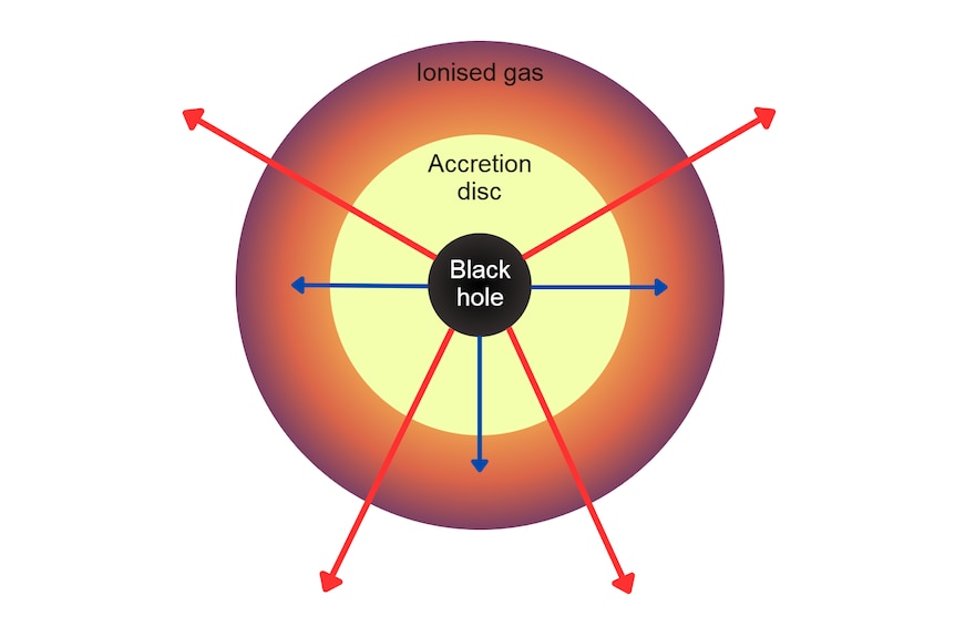 Cross-section diagram of a black hole, its accretion disc and ionised gas field showing red arrows escaping and blue ones stuck.