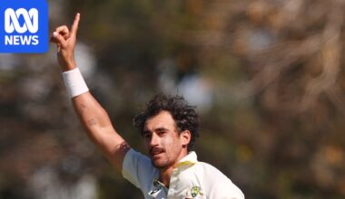 Mitchell Starc reigns supreme as Australia beat Bangladesh by an innings and 51 runs inside two days in Mackay